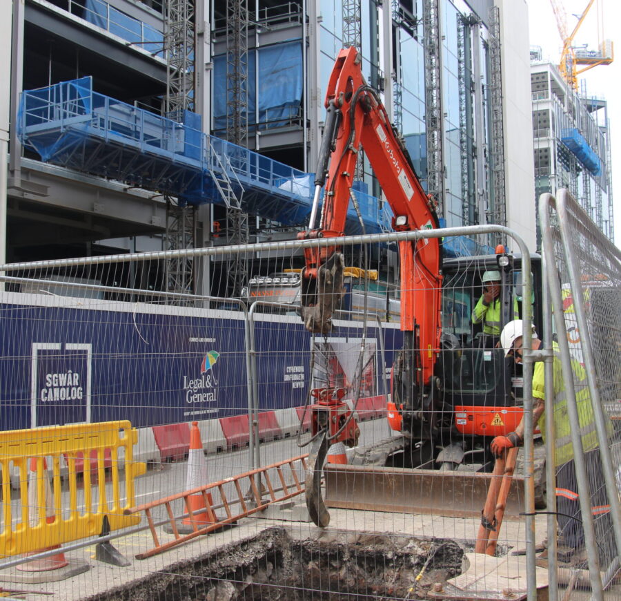 Macaw Pipe Cracker Helps Avert Drama 