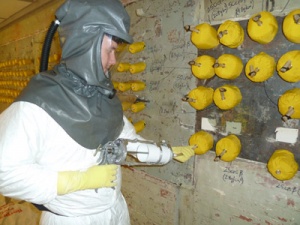Foam cap-end installation at Harwell BEPO storage block