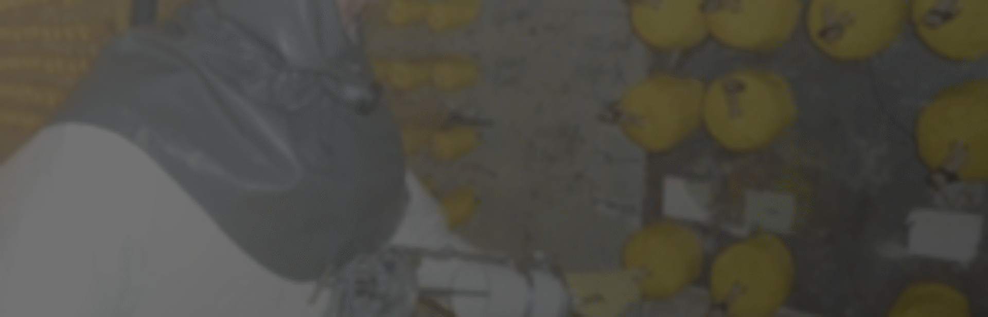 Change is inevitable but out of change comes opportunities